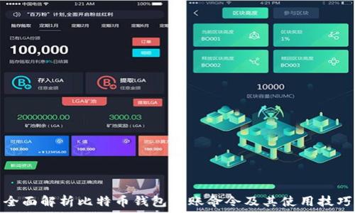 全面解析比特币钱包转账命令及其使用技巧