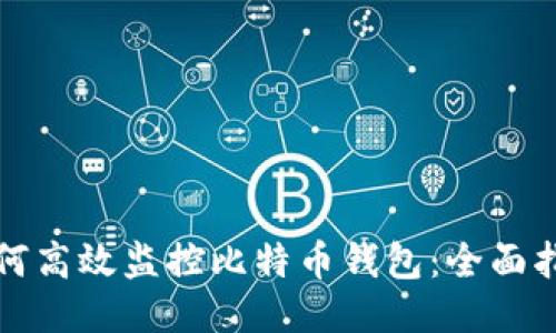 如何高效监控比特币钱包:全面指南