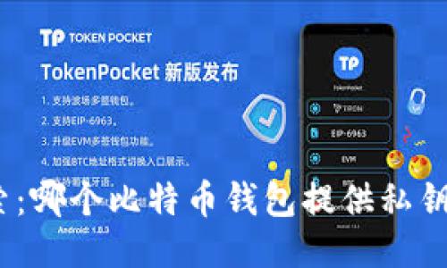 : 深入探索:哪个比特币钱包提供私钥安全保障?