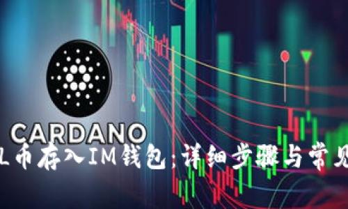 如何将SOL币存入IM钱包:详细步骤与常见问题解答
