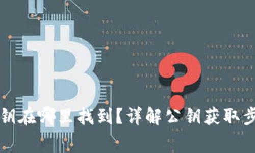 以太坊钱包公钥在哪里找到?详解公钥获取步骤与注意事项