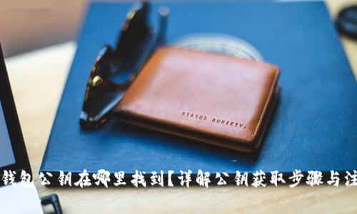 以太坊钱包公钥在哪里找到?详解公钥获取步骤与注意事项