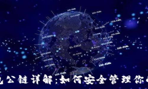 以太坊钱包公链详解:如何安全管理你的数字资产