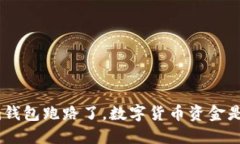 Tokenim钱包跑路了，数字货币资金是否安全？