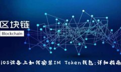 iOS设备上如何安装IM Token钱包：详细指南