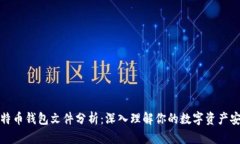 比特币钱包文件分析：深入理解你的数字资产安