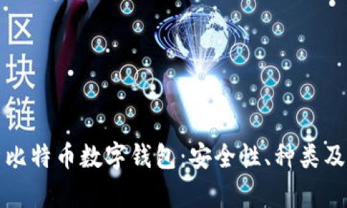 全面解析比特币数字钱包：安全性、种类及使用技巧
