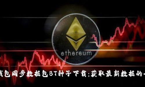 比特币钱包同步数据包BT种子下载：获取最新数据的全面指南