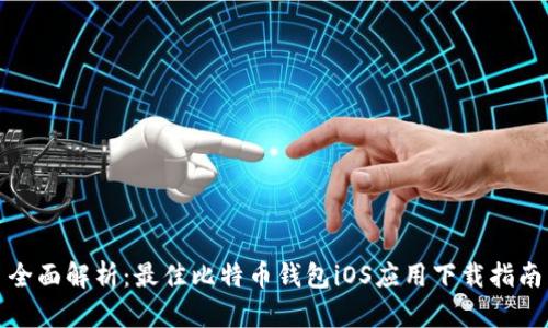 全面解析：最佳比特币钱包iOS应用下载指南