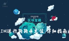 如何使用TokenIM进行狗狗币充值：详细指南和常见