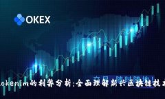 tokenim的利弊分析：全面理解新兴区块链技术