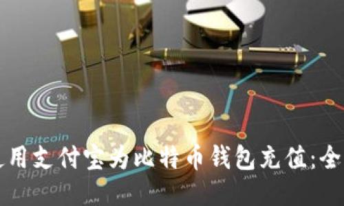 如何使用支付宝为比特币钱包充值:全面指南