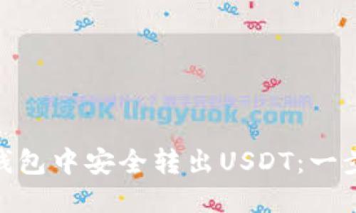 如何在Tokenim钱包中安全转出USDT:一步一步的详尽指南