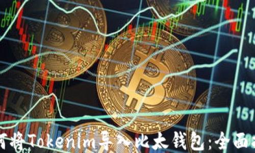 如何将Tokenim导入比太钱包:全面指南