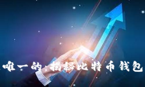 每个比特币钱包都是唯一的:揭秘比特币钱包的工作原理与安全性