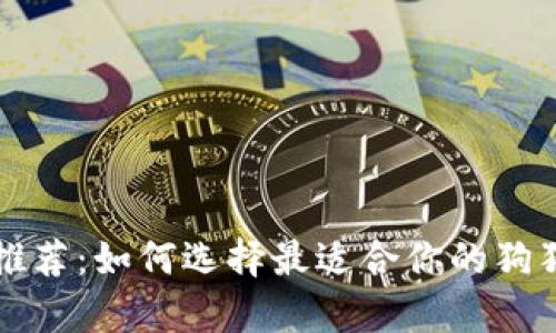 狗狗币钱包推荐：如何选择最适合你的狗狗币储存方式
