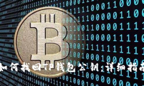 如何找回TP钱包公钥:详细指南