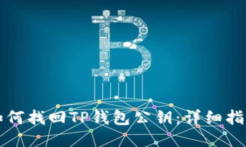 如何找回TP钱包公钥:详细指南