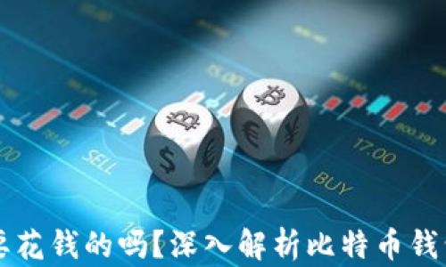 
比特币钱包是要花钱的吗？深入解析比特币钱包的成本与使用