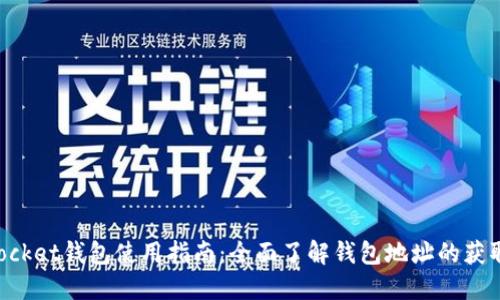 TokenPocket钱包使用指南:全面了解钱包地址的获取与管理