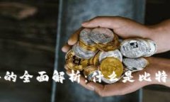 比特币钱包原文件的全面解析：什么是