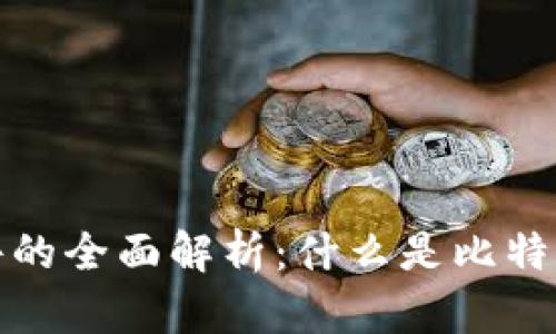 比特币钱包原文件的全面解析:什么是比特币钱包及其重要性