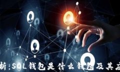 深入解析：SOL钱包是什么钱包及其应用