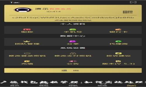 比特币客户端钱包数据管理:如何高效处理200G数据