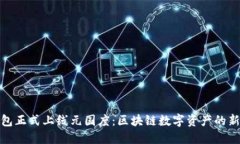 TP钱包正式上线元国度：区块链数字资