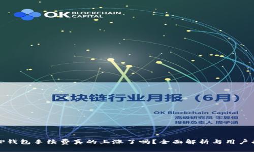 : TP钱包手续费真的上涨了吗?全面解析与用户指南