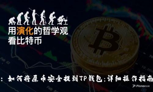 : 如何将屎币安全提到TP钱包：详细操作指南