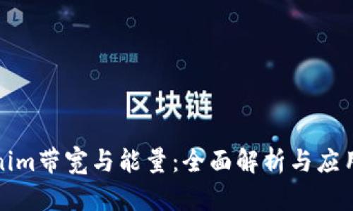 Tokenim带宽与能量：全面解析与应用实践