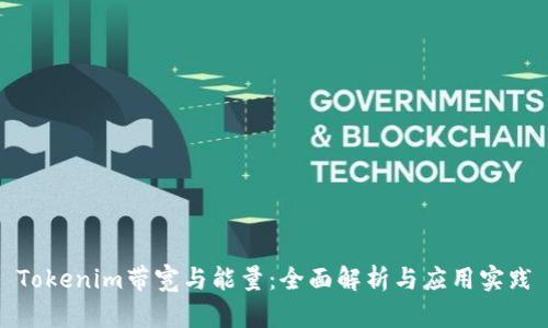 Tokenim带宽与能量：全面解析与应用实践