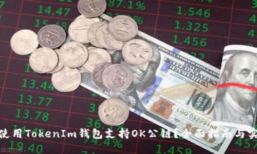 : 如何使用TokenIm钱包支持OK公链？全面指南与实用技巧