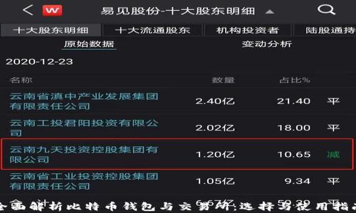 
全面解析比特币钱包与交易所：选择与使用指南