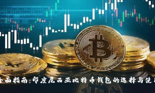全面指南：印度尼西亚比特币钱包的选择与使用
