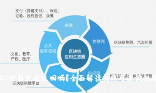 TP钱包USDT被转走能追回吗?全面解读转账可追溯性及解决方案