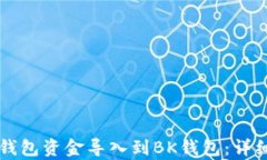 如何将TP钱包资金导入到BK钱包：详细