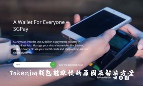 Tokenim钱包转账慢的原因及解决方案