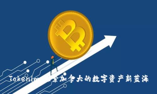 Tokenim:探索加拿大的数字资产新蓝海