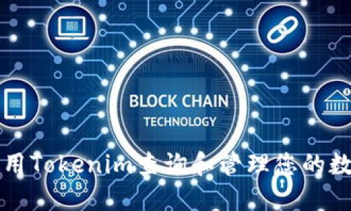 如何使用Tokenim查询和管理您的数字资产