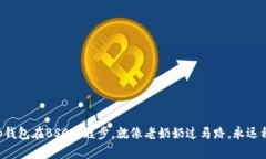 “当你的tp钱包在BSC上踱步，就像老奶