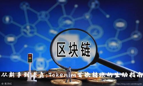 从新手到老鸟:Tokenim首次转账的生动指南