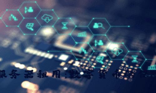 比特币钱包与服务器租用：数字货币的保险箱与高楼大厦