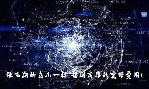 像飞翔的鸟儿一样，告别高昂的宽带费用！