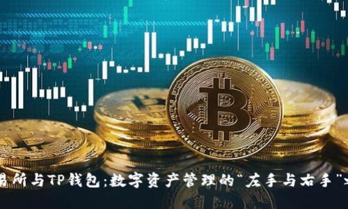交易所与TP钱包:数字资产管理的“左手与右手”之争
