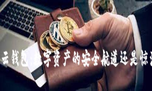 以太坊云钱包:数字资产的安全航道还是惊涛骇浪?