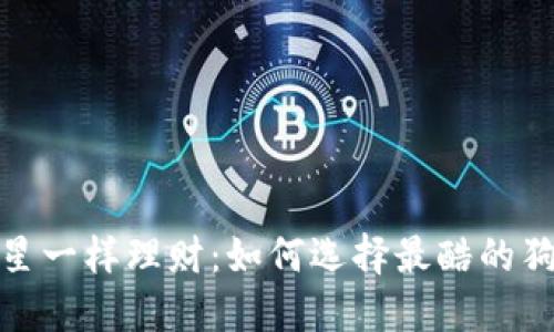 像摇滚明星一样理财:如何选择最酷的狗狗币钱包