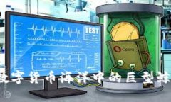 比特币鲸鱼钱包：数字货币海洋中的巨