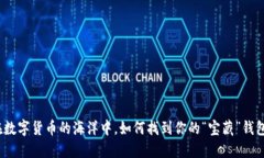 在数字货币的海洋中，如何找到你的“